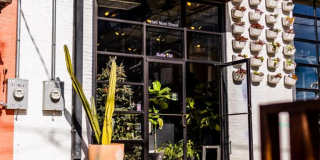 The Gabriella Gallery 34