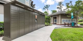 Bell Lake Forest Gallery 41