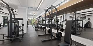 The Clark Gallery 31