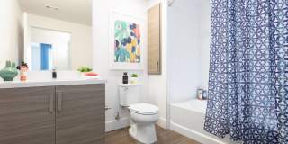 The Triton Gallery 12