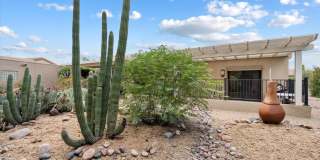 25409 N QUAIL HAVEN Drive Gallery 27