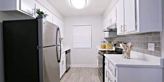 Rise Skyview Gallery 34