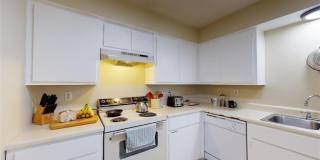 1809 Treehouse Trail Gallery 7