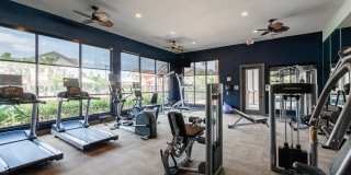 Cortland Sugar Land Gallery 18