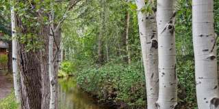 440 Alpine Court Gallery 33