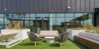 RISE Doro Gallery 33