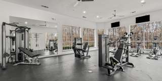 The Franklin The Franklin Gallery 45