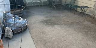 Premier 55+ Living in Fort Collins | 2BR Patio Home with Garage & Fireplace Gallery 19