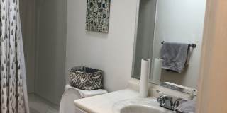 53 Austin Street Gallery 15
