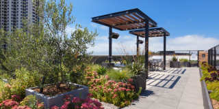 Avalon Public Market Gallery 20