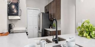 Elevate on Main Gallery 3