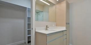 The Tree Apartments Gallery 11