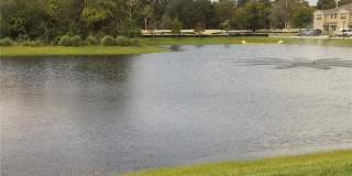 542 ZINFANDEL DRIVE Gallery 16