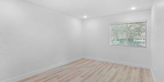 The Cadence Gallery 24