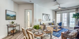 255 Assay Luxury Apartments Gallery 4