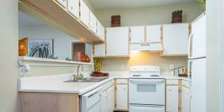 The Falls and Woods of Hoover Gallery 46