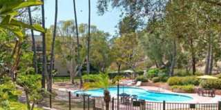 $2300/MO-1 BR/1BA FASHION VALLEY CONDO-$200 move in credit Gallery 6