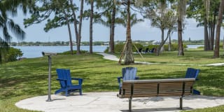 View Carlton Arms Gallery 35