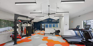 Aventura Dunwoody Gallery 20