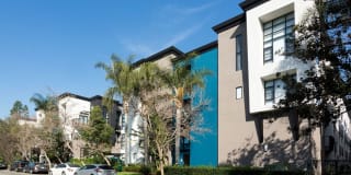 Avalon Studio City Gallery 31