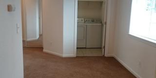 1407 North Cherry Street Gallery 13