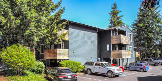 Finn Gallery 29
