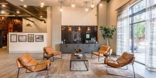 The Oliver Luxury Apartments Gallery 10