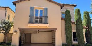 80 Cipresso Gallery 28