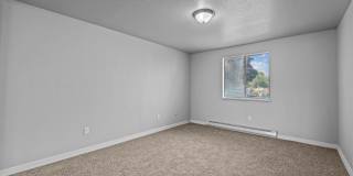 Shannon South Gallery 20