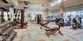 The Conley Gallery 11