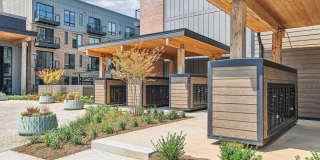 Trailside NoDa Gallery 23