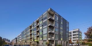 The District Gallery 29