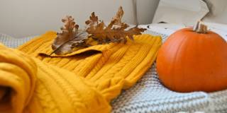 VerraWest Gallery 56