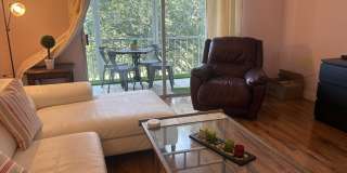 4602 Martinique Way Gallery 19