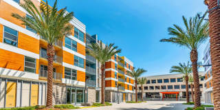 Citrus Commons Gallery 35