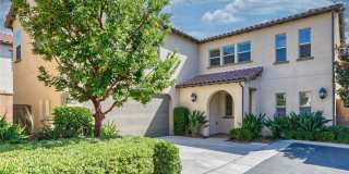 177 Firefly 177 Firefly Gallery 1