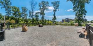 44514 WOLFHOUND Square 44514 WOLFHOUND Square Gallery 27