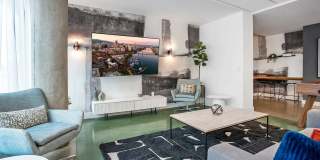 The Matisse Gallery 16