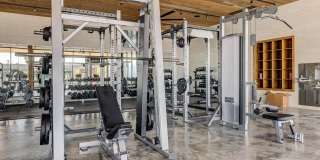 Sanctuary Gallery 20