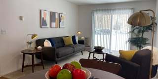 Springtree Gallery 8