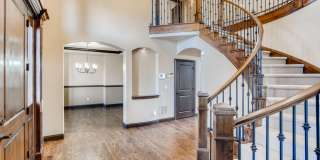 1696 Avenida Del Sol, Castle Rock, CO Gallery 4