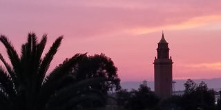 The Palms On Seminary Gallery 14