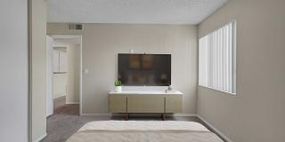 4200 Paradise Gallery 16