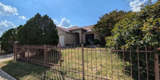 5015 Viking Coral Gallery 28