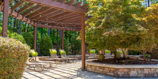 Greenway at Mallard Creek Greenway at Mallard Creek Gallery 18