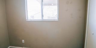 SMALL DOG FRIENDLY!!!  Meadow Street House Gallery 21