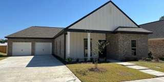 843 Long Leaf Circle Brandon, MS Gallery 1