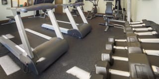 Palms of Clearwater Gallery 22