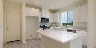 501 Turnstone Lane - 1 Gallery 1