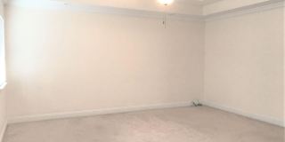 335 Horse Creek Drive Gallery 11